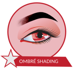 BrowBeat Microblading Certification - Ombré Brows