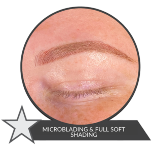 Microblading and Full Soft Shading